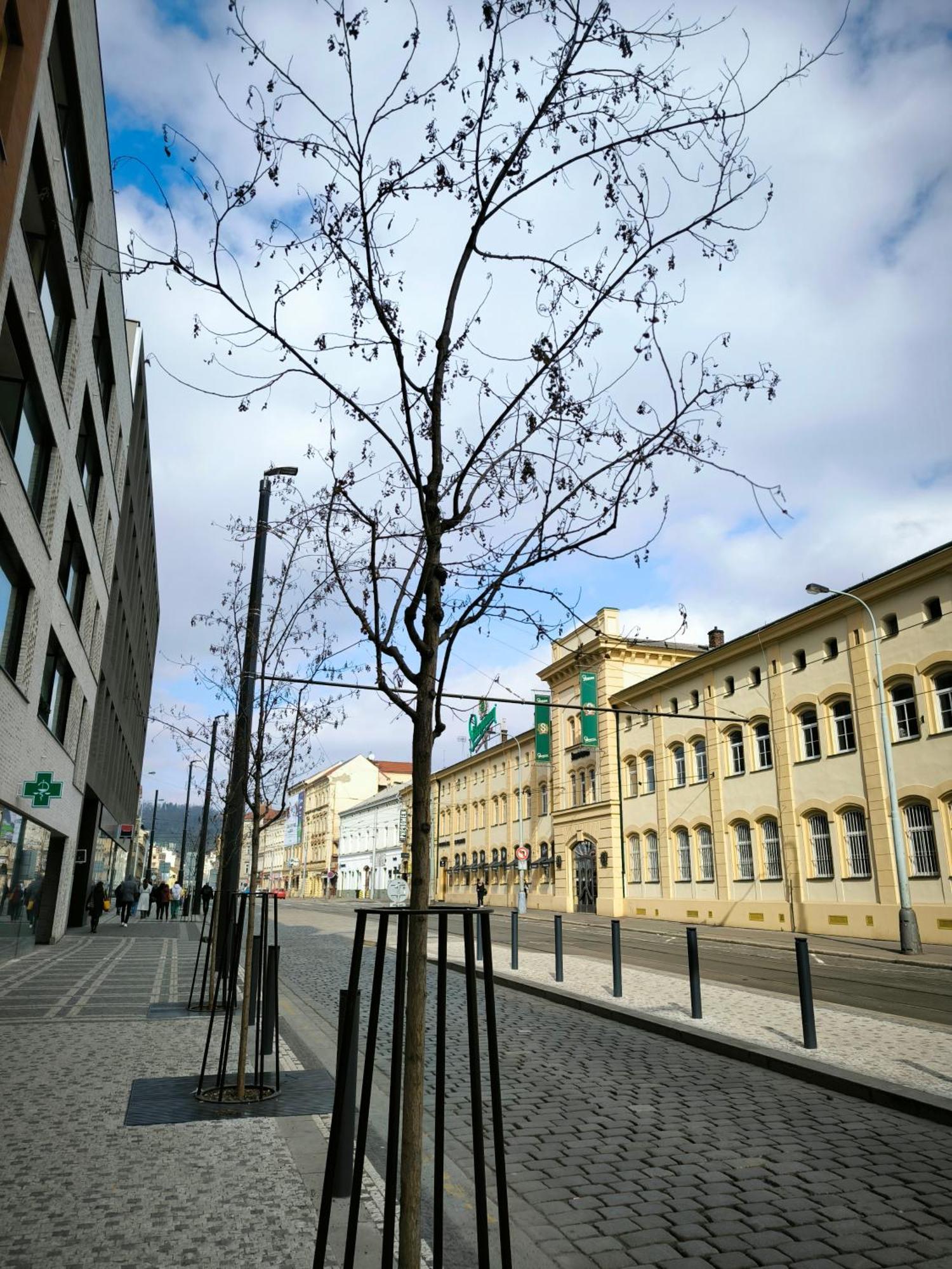 Valentinka Minutes Away From Charles Bridge Apartment Prag